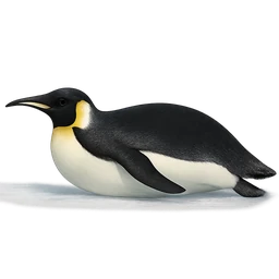 Emperor Penguin, in flight
