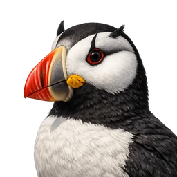 Horned Puffin, profile