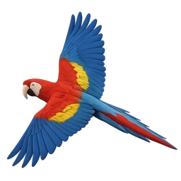 Scarlet Macaw, in flight