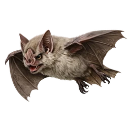 Spectral Bat, in flight